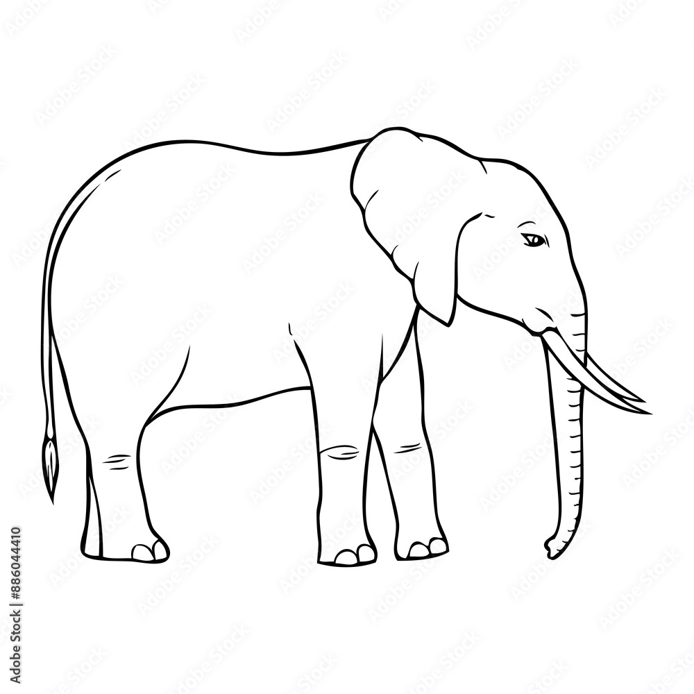Fototapeta premium elephant outline vector illustration