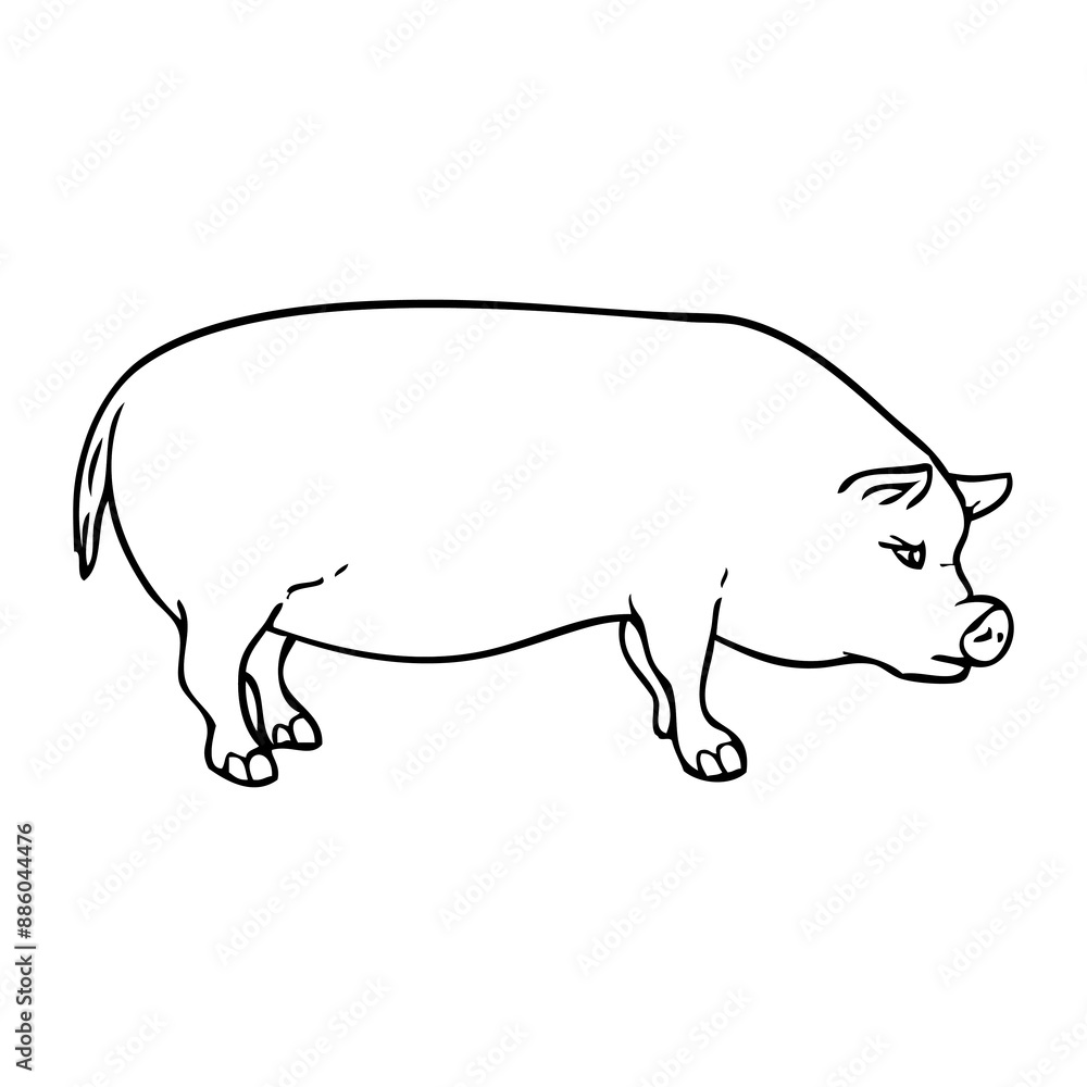 pig outline vector illustration pig outline vector illustration