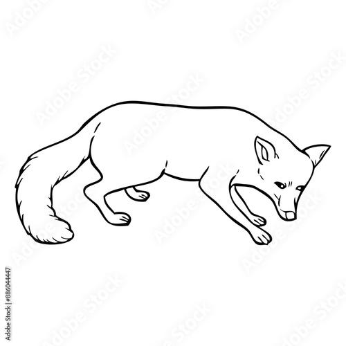 fox outline vector illustration