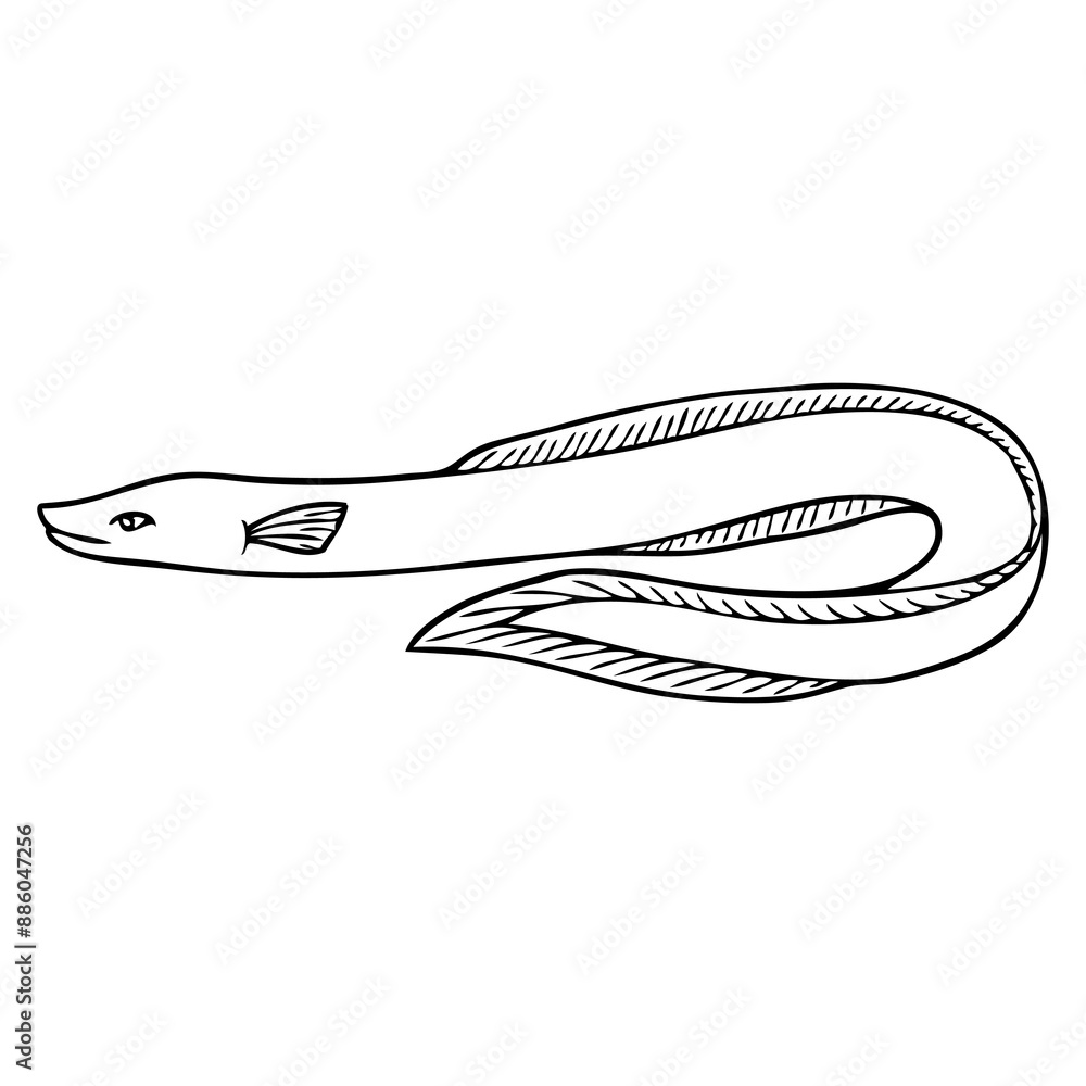 eel outline vector illustration eel outline vector illustration
