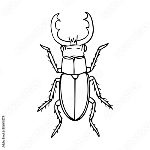 beetle outline vector illustration