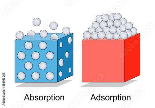 Adsorption and Absorption. Physical or chemical phenomenon.