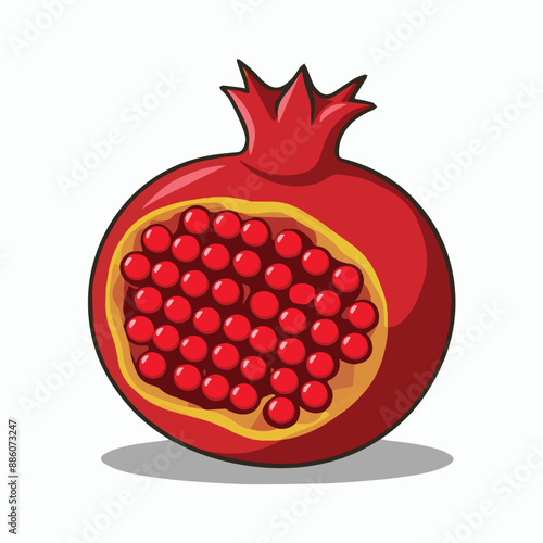 A red pomegranate vector illustration