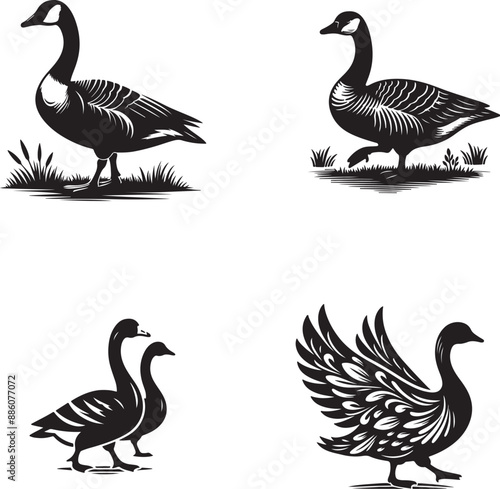 Goose Silhouette art vector illustration