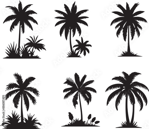 Silhouette of palm trees