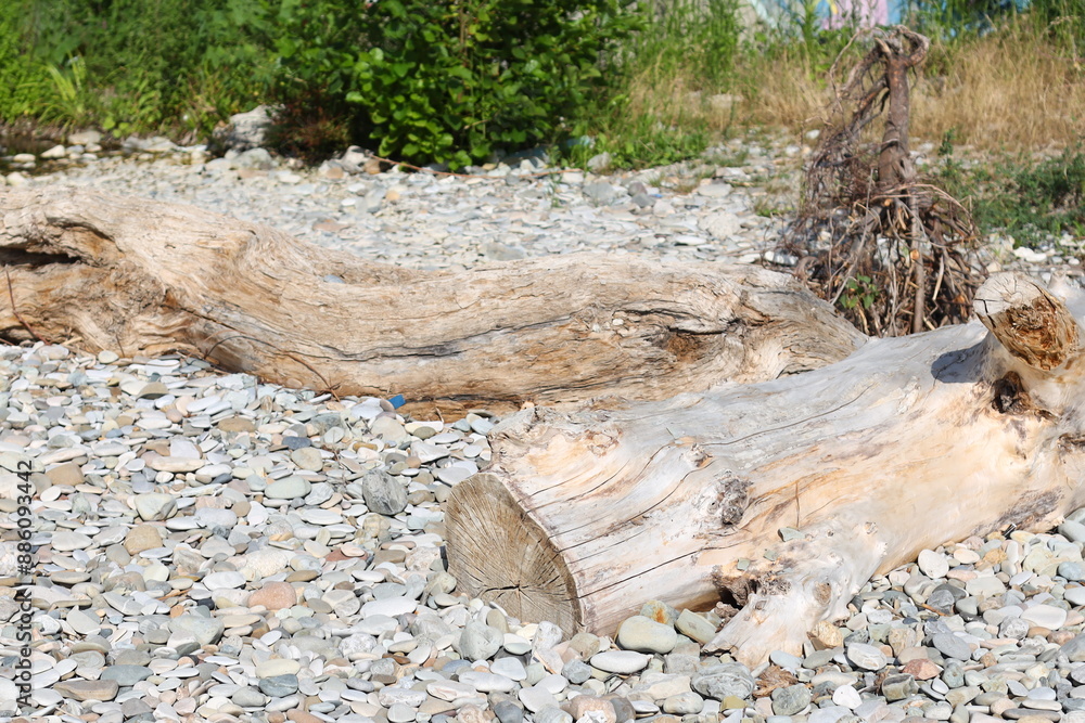 A single log sits atop a pile of rocks, surrounded by natural scenery. A single log sits atop a pile of rocks, surrounded by natural scenery.