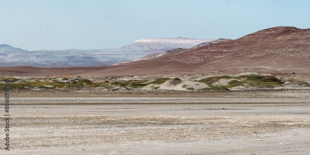 Fototapeta premium Desert Harmony. Paracas Reserve’s serene landscape showcases nature’s palette.