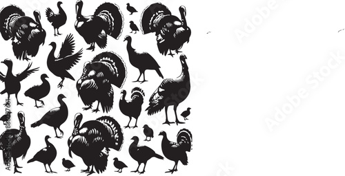 silhouettes turkey, a group of silhouettes turkey, black color isolated on white background vector and white background