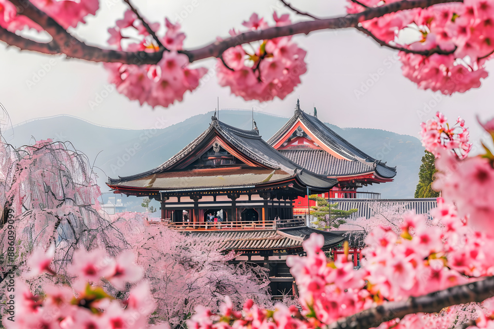 Hanami is a Japanese holiday that celebrates the arrival of spring and the beauty of cherry blossoms (sakura). Hanami is a Japanese holiday that celebrates the arrival of spring and the beauty of cherry blossoms (sakura).