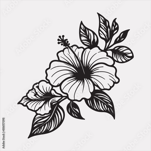 hibiscus flower line art silhouette vector on a white background
