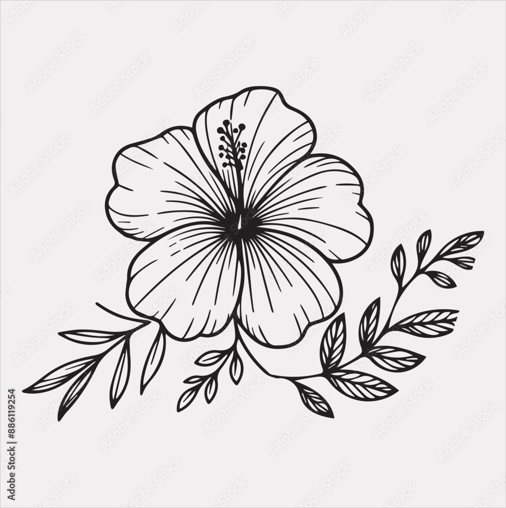 hibiscus flower line art silhouette vector on a white background hibiscus flower line art silhouette vector on a white background