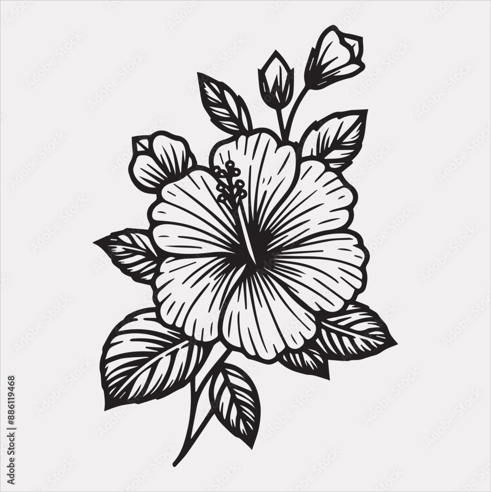 hibiscus flower line art silhouette vector on a white background hibiscus flower line art silhouette vector on a white background