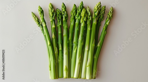 36. A minimalist image with a white background featuring a single wild asparagus, positioned in the center