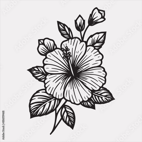 hibiscus flower line art silhouette vector on a white background