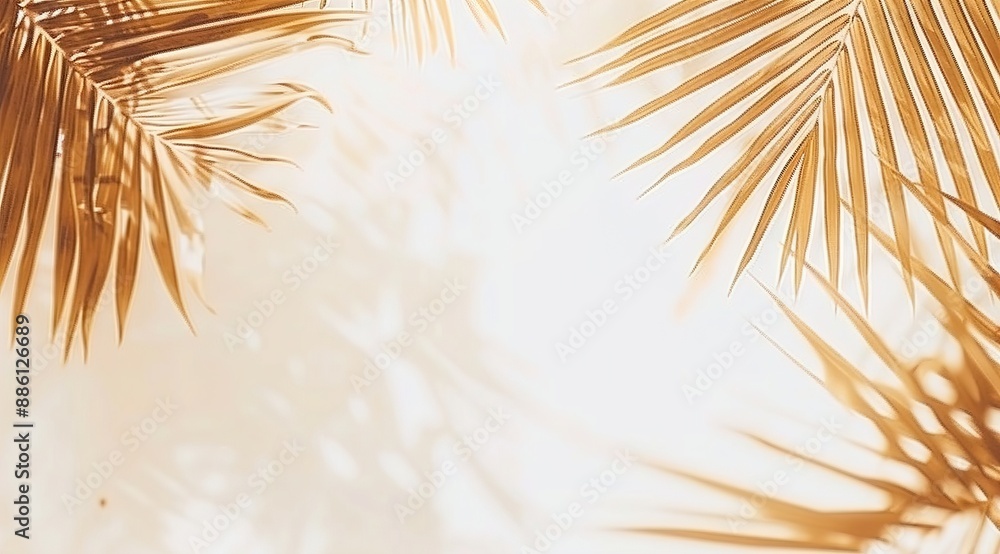 Obraz premium palm tree silhouette
