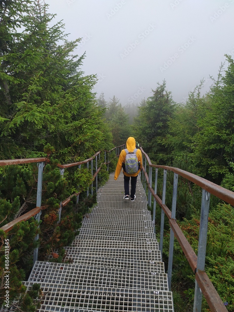 Hiker in Yellow Raincoat on Foggy Forest Path Hiker in Yellow Raincoat on Foggy Forest Path