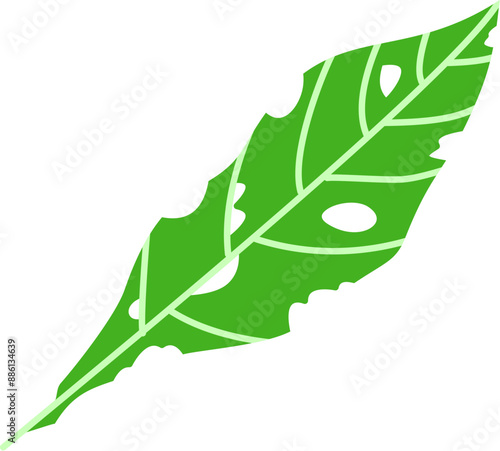 Eaten leaves with hole on il