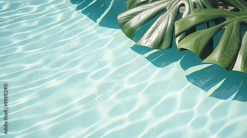 Tropical summer vibes  swimming pool with palm leaf shadow background for a relaxing vacation photo