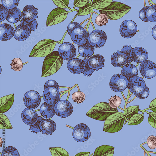 Seamless pattern with blueberries branches