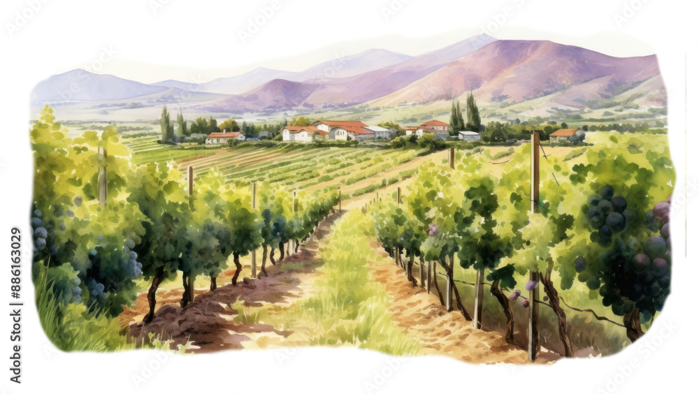 Naklejka premium PNG Vineyard outdoors nature field.
