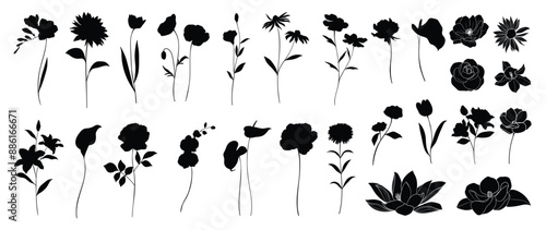 Collection of botanical silhouette element vector. Set of tropical plant, wildflower, rose, daisy, anthurium flower, eucalyptus leaves. Hand drawn of botanical for decor, website, graphic, decorative.