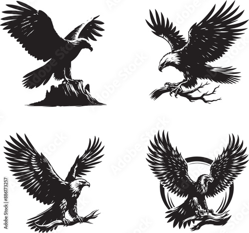 black and white silhouette of eagle trying flying