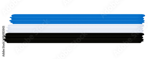 Quadro su tela estonian flag with paint strokes on transparent background