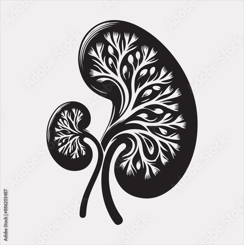 kidney vector silhouette on a white background