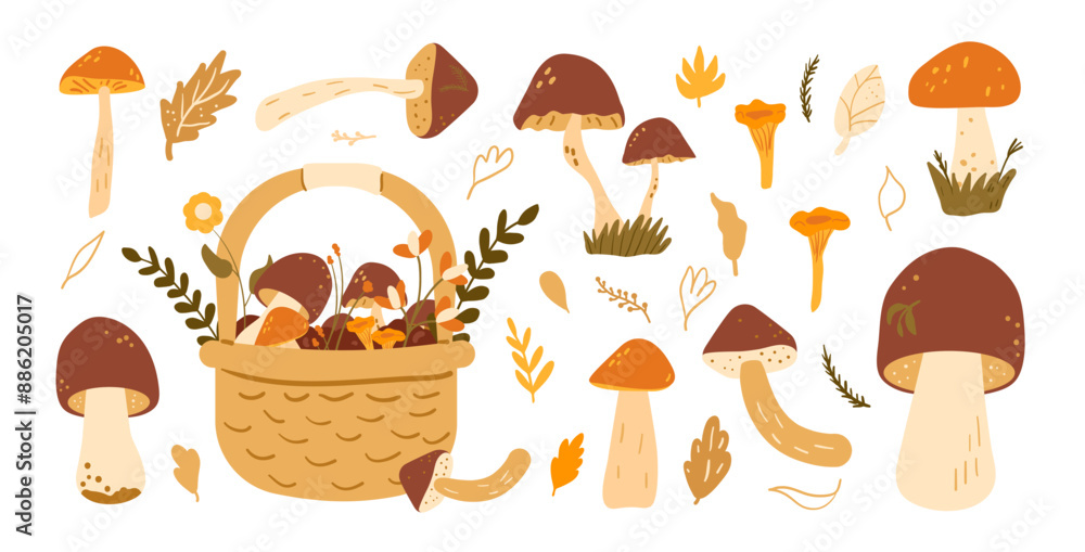 Set of mushrooms. forest harvesting kit. Vector hand drawn flat collection illustration isolated on white background. Set of mushrooms. forest harvesting kit. Vector hand drawn flat collection illustration isolated on white background.