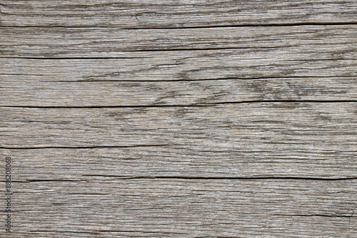 Wooden texture with natural patterns as a background. Cross-section of a tree