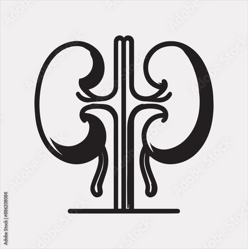 kidney vector silhouette on a white background