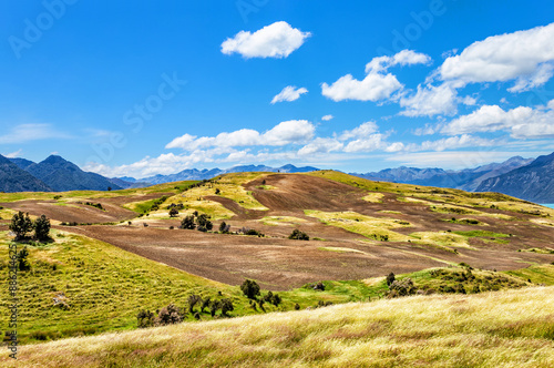 Hilly landscape, Otago, South Island, New Zealand, Oceania.