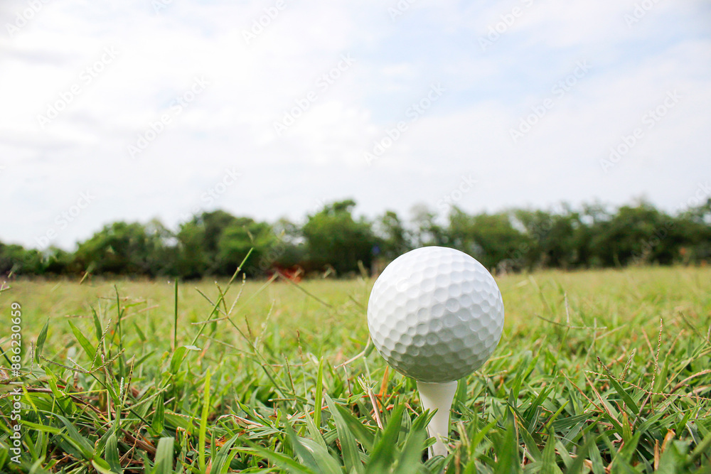 Golf balls and tees placed on the grass. Golf balls and tees placed on the grass.