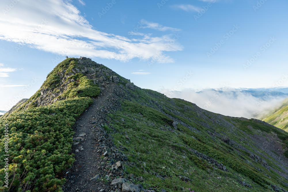 Fototapeta premium The trail from Mt. Senjogadake to Kitazawa Pass