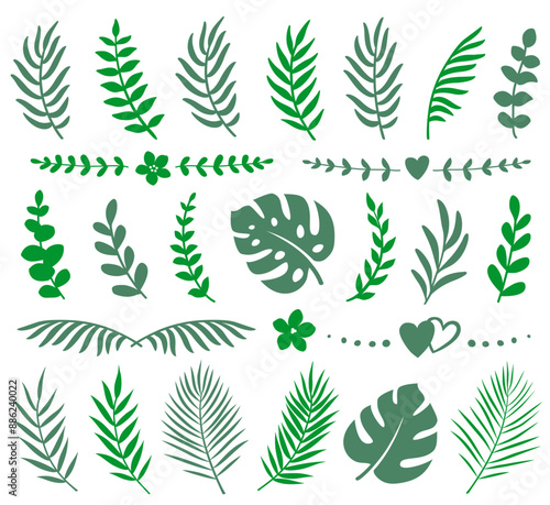 Summer tropical set palm eucalyptus branches and leaves