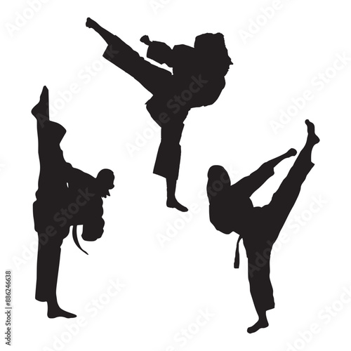 Set of Female Martial Art Pose Silhouette Vector illustration