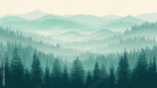 Foggy mountain landscape with coniferous forest.