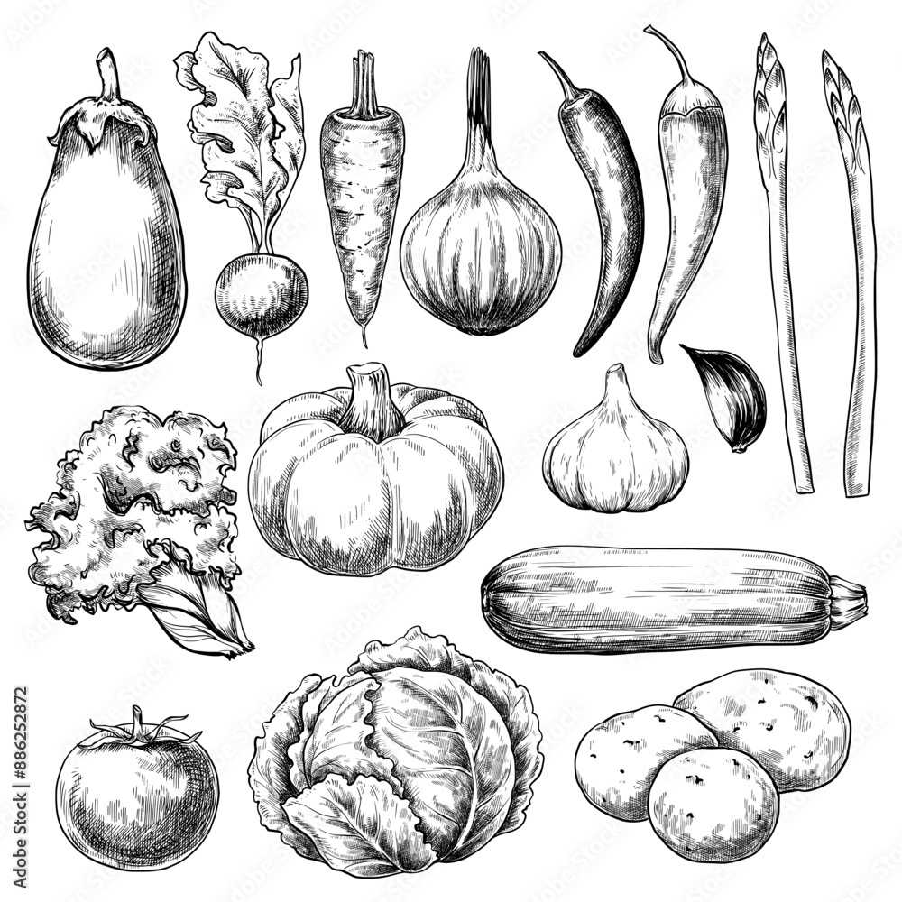 Vegetables set hand drawn vintage vector sketch drawing