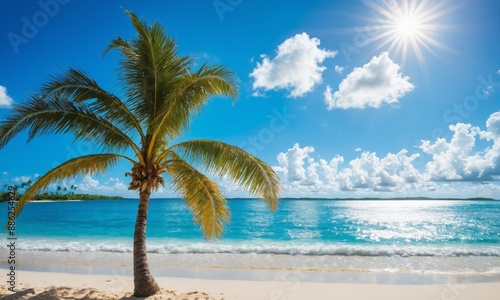 Palm tree on a tropical beach with turquoise water and white sand