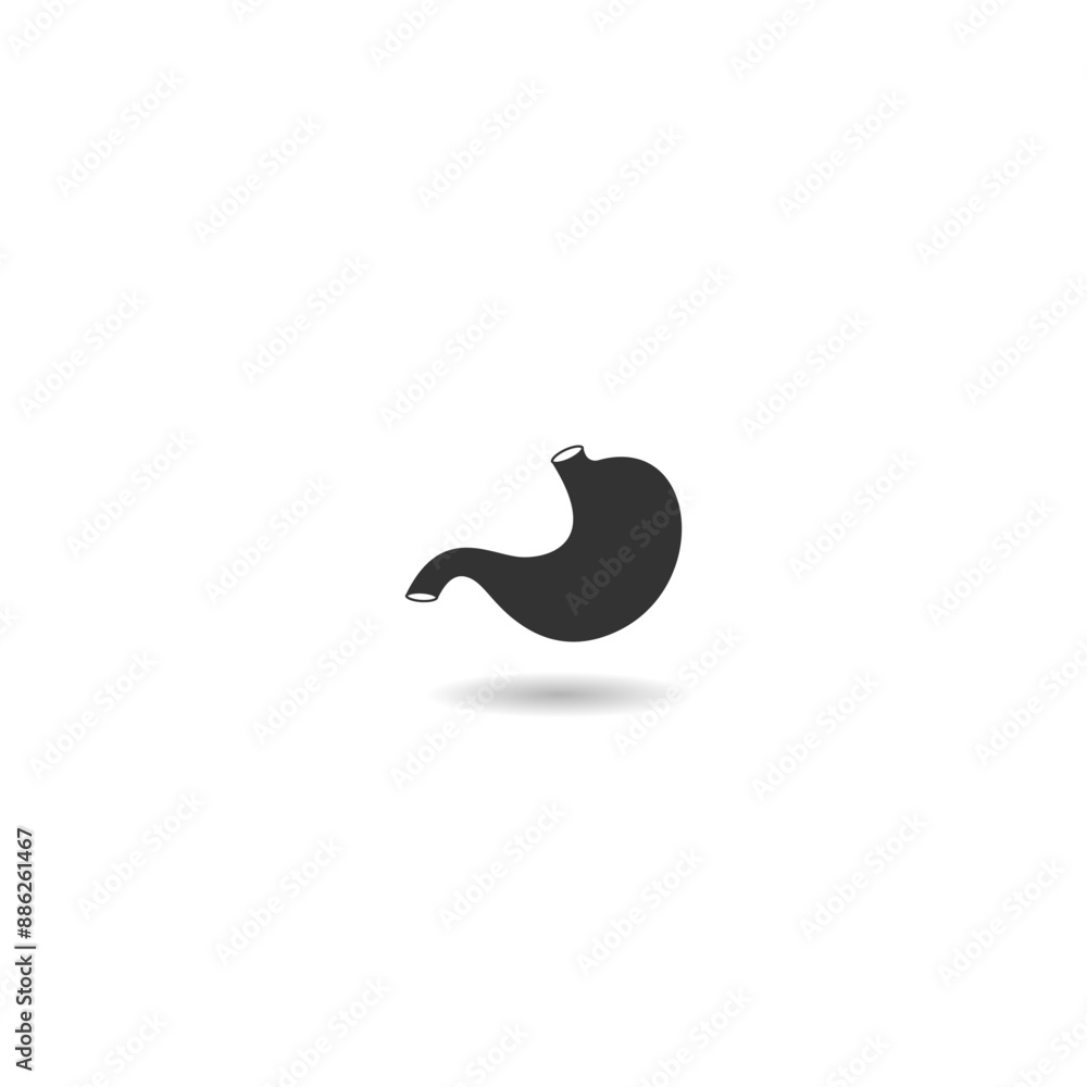 Fototapeta premium Human anatomy icon. Stomach sign with shadow