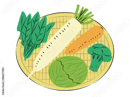 ザルに入った冬野菜のイラスト｜ベクター