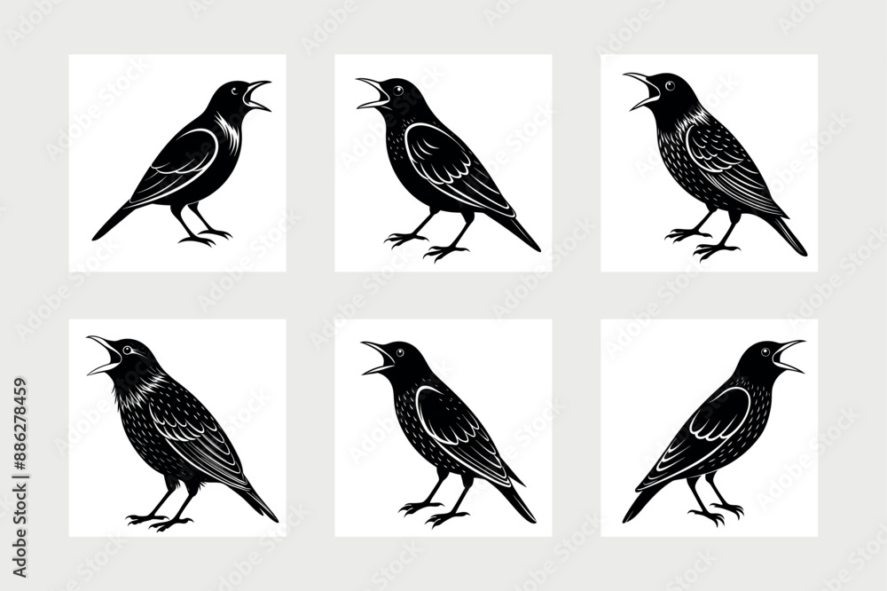 Fototapeta premium European starling bird icon vector illustration. 