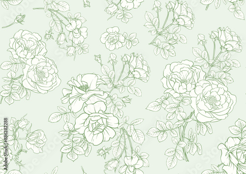 Rose flowers, Seamless pattern, background. Vector illustration. Outline hand drawing.