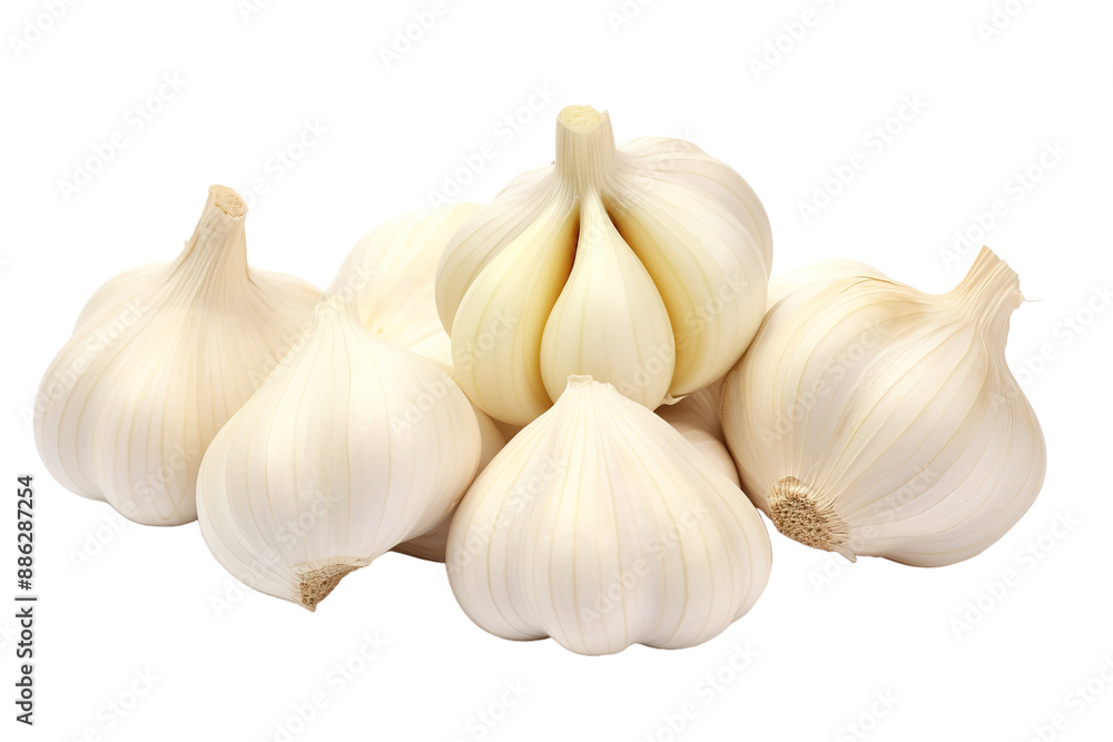 A Cluster of Aromatic Garlic Bulbs Ready for Cooking on a White or Clear Surface PNG Transparent Background. A Cluster of Aromatic Garlic Bulbs Ready for Cooking on a White or Clear Surface PNG Transparent Background.