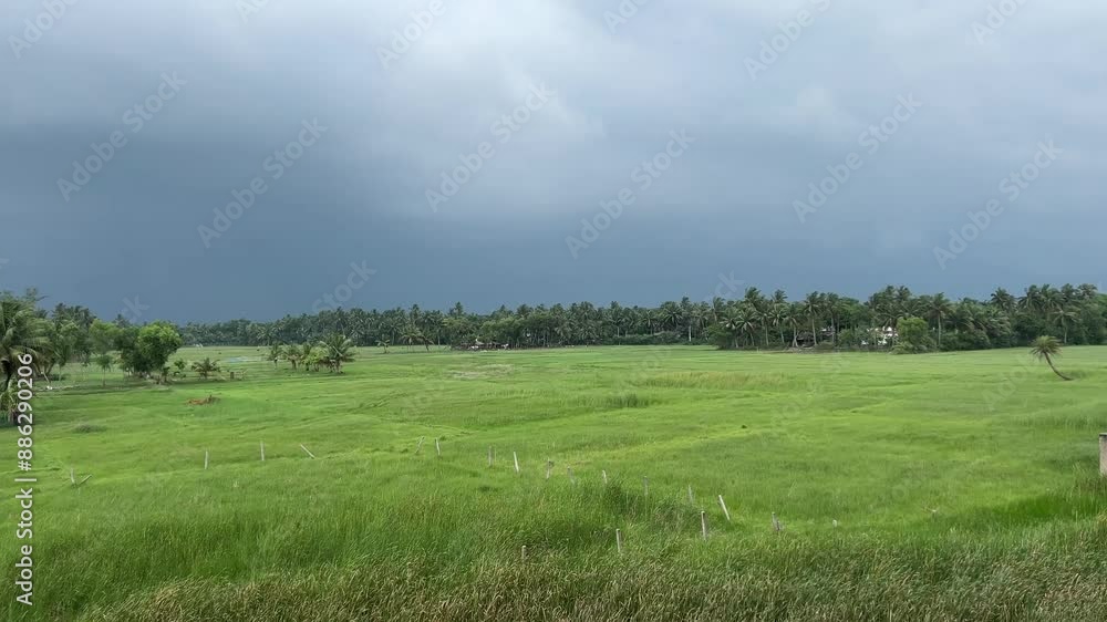 A green farm land in Bengal with dark cloudy weather in monsoon in India A green farm land in Bengal with dark cloudy weather in monsoon in India