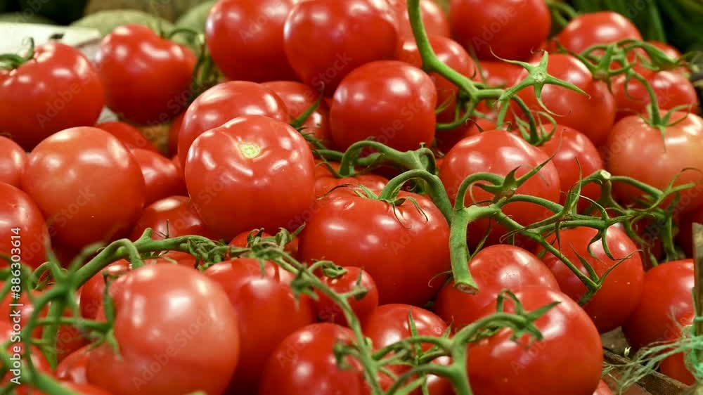 Fresh tomatoes on the market. Delicious red tomatoes for sale. Fresh tomatoes on the market. Delicious red tomatoes for sale.