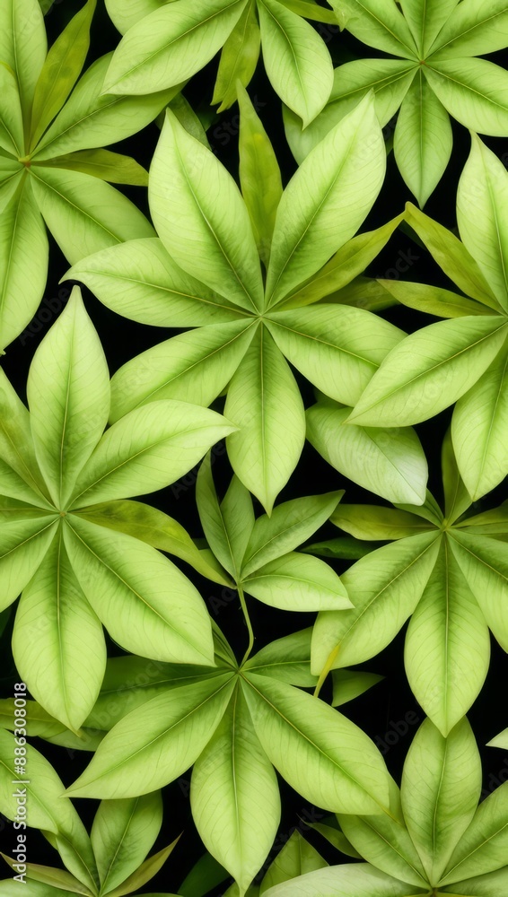 Fototapeta premium Green Plant Flower Leaves Illustration For Background or Pattern