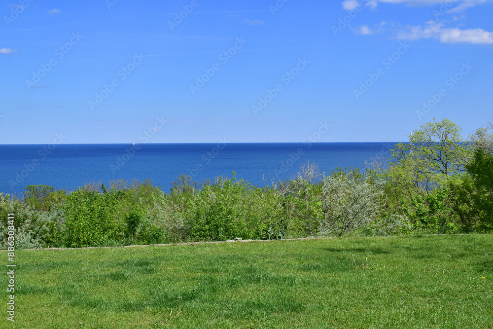 Obraz premium seascape overlooking the blue sea, bright sunny day. green grass on the coastline, leisure concept, tourism, vacation. pure sea water. Black Sea.