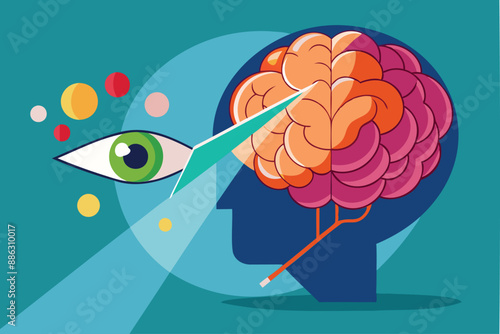 Perception and Perspective: Human Brain Interpreting Object with Bias and Illusion