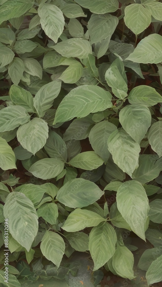 Green Plant Flower Leaves Illustration For Background or Pattern Green Plant Flower Leaves Illustration For Background or Pattern